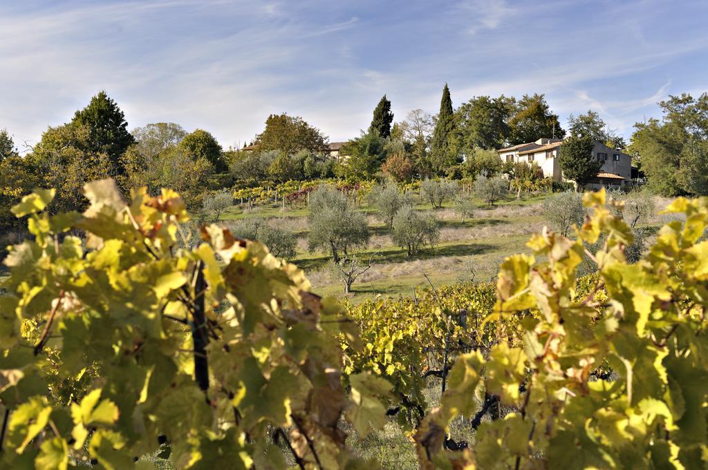 Il Casolare Di Libbiano Guest House San Gimignano Ngoại thất bức ảnh